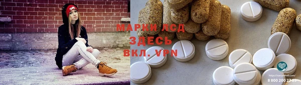 ешки Алзамай