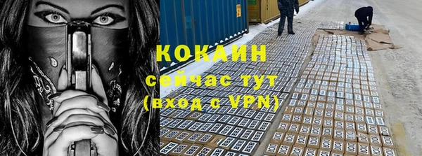 ешки Алзамай