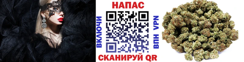 мориарти официальный сайт  Лагань  Каннабис LSD WEED 